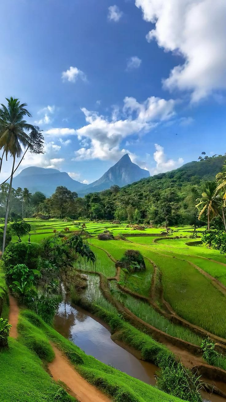 Green Season in Sri Lanka