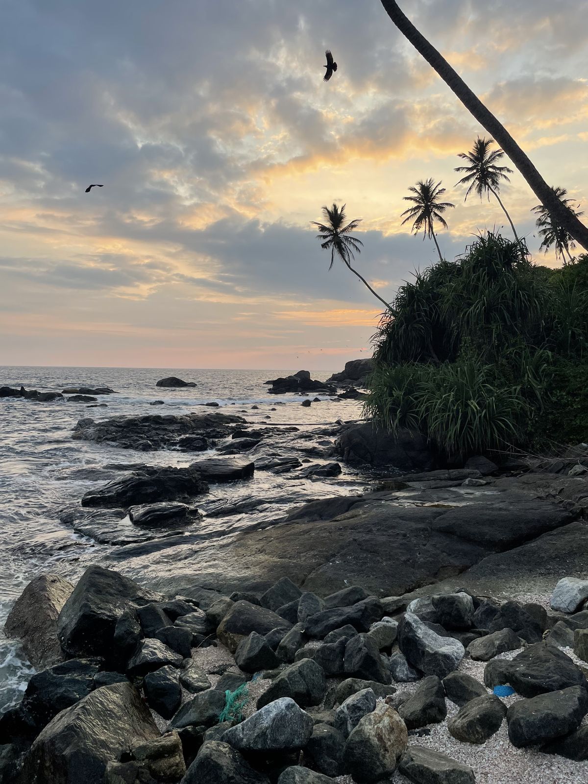 Sri Lanka Beach