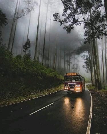 Tamil Nadu Monsoon