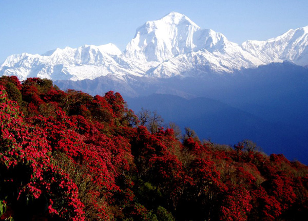 Spring in Nepal