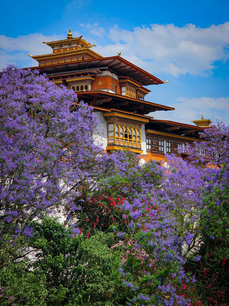 Spring Season in Bhutan