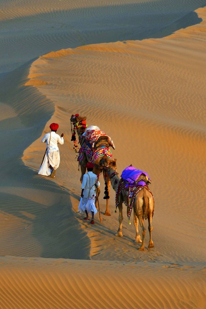 Rajasthan Adventure